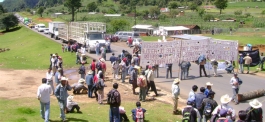 Comunidad de Mitzitón inicia bloqueo en Chiapas contra paramilitares