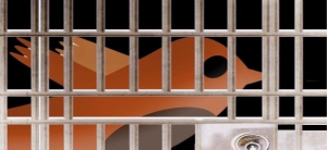 Comunicado de la CGT por la libertad de Alberto Patishtán