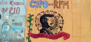 San Isidro Aloapam – Resistencia digna del CIPO-RFM ante la deforestación del bosque