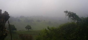Desalojan y encarcelan a Campesinos de Ixhuatlán de Madero después de la  toma de tierras